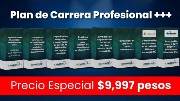Plan de Carrera Profesional + (Semestre Capacitación + Excel + Open English)