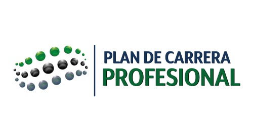 plan de carrera profesional geo e training