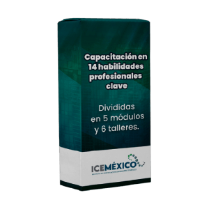capacitacion 14 habilidades clave