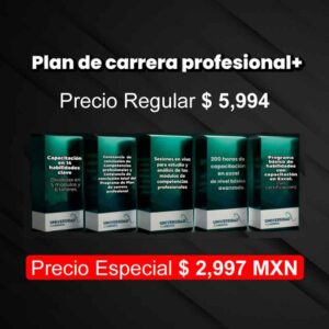 plan de carrera profesional +