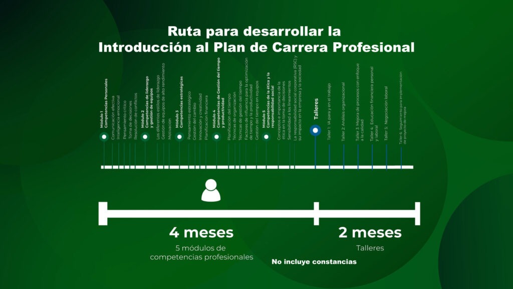 ruta introduccion plan de carrera profesional